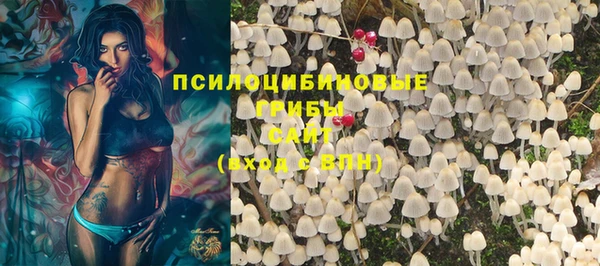 apvp Белокуриха