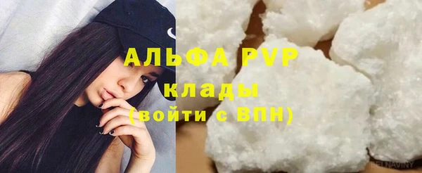 apvp Белокуриха