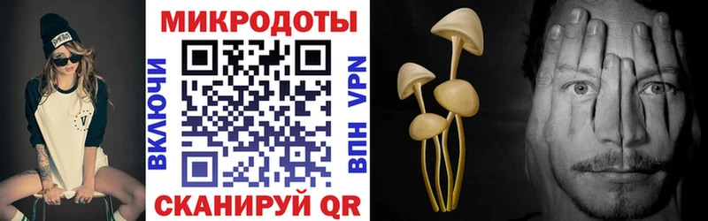 Псилоцибиновые грибы ЛСД  Обь 